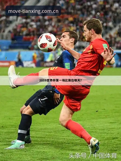 为什么天行体育平台能成为体育爱好者的首选？从数据看v3.0.0版本的三大核心优势